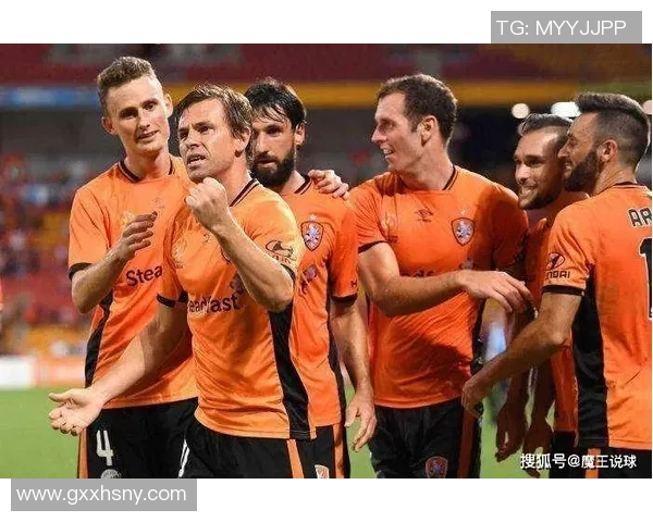 惠灵顿与布里斯班历史交锋战绩分析及近期表现对比