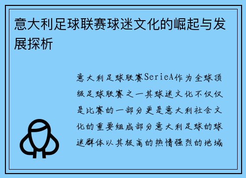 意大利足球联赛球迷文化的崛起与发展探析